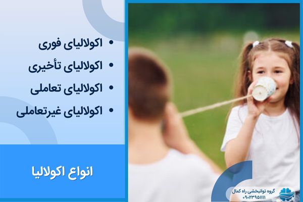 انواع پژواک گویی