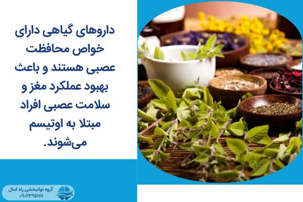 مزایای داروهای گیاهی برای درمان اوتیسم