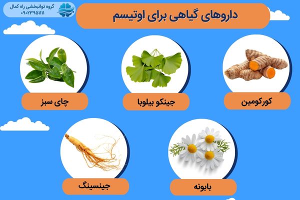 داروهای گیاهی درمان اوتیسم 