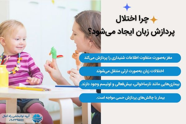 علل اختلال پردازش زبان