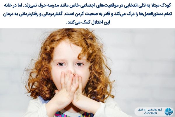 لالی انتخابی