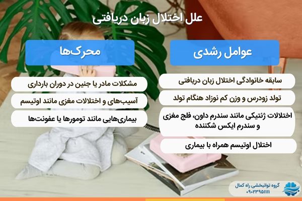علت اختلال زبان دریافتی