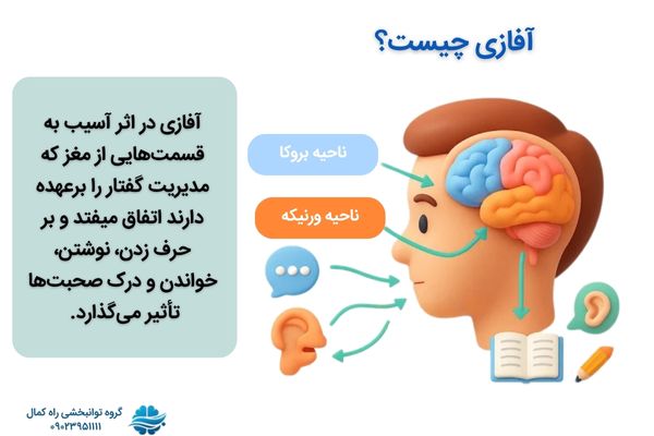 قسمت های آسیب دیده مغز در آفازی