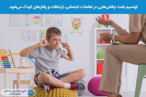 چالش های اجتماعی، ارتباطی و رفتاری اتیسم