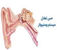 حس وستیبولار یا تعادل چیست؟ علائم اختلالات و نحوه درمان آنها